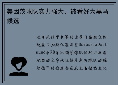 美因茨球队实力强大，被看好为黑马候选