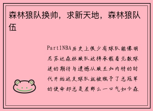 森林狼队换帅，求新天地，森林狼队伍