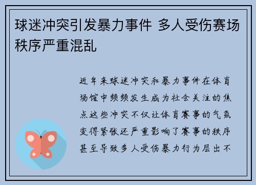 球迷冲突引发暴力事件 多人受伤赛场秩序严重混乱